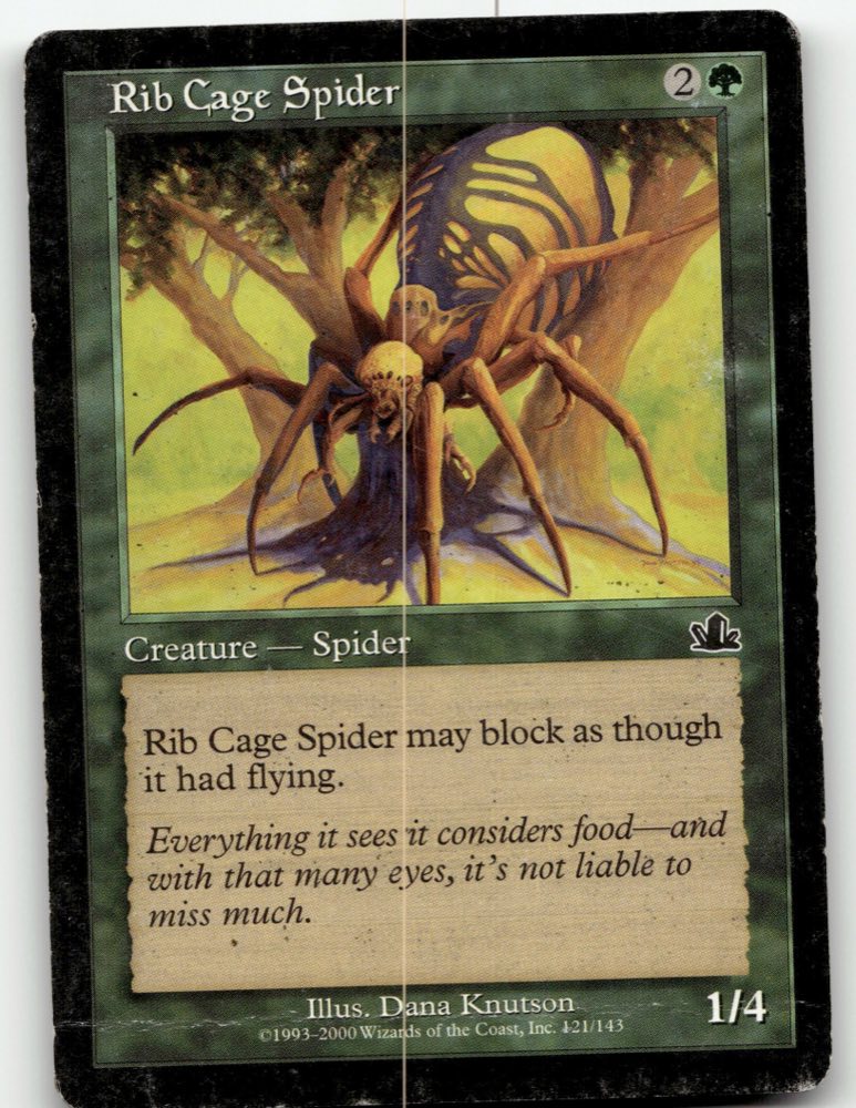 Rib Cage Spider — PCY - Prophecy
